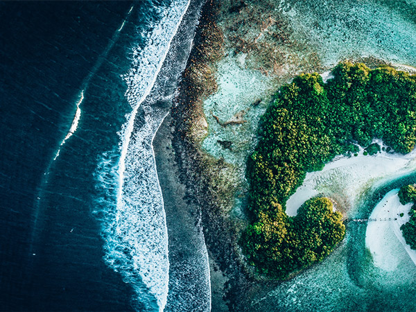 environment and climate