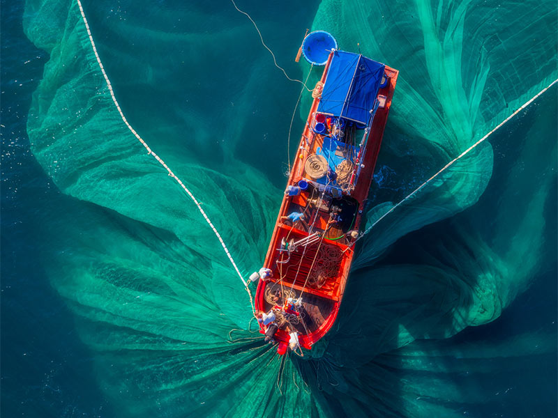 Sustainable Fisheries Management