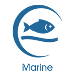 Surveillance de l'Environnement Marin de Copernicus (CMEMS)