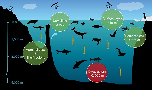 main areas where animal-borne instruments can contribute