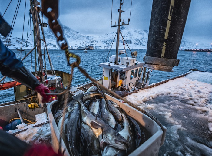 bateau de pecheur