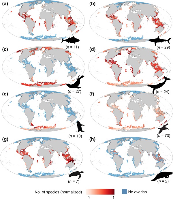 Maps of the spatial overlap between gaps of the Argo network and extent of occurrence