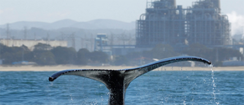 Merger of Woods Hole Group, CLS America and Horizon Marine