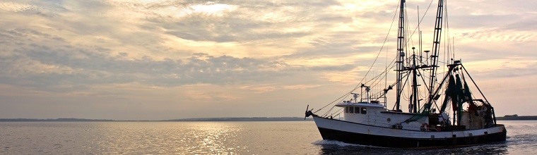Stop Illegal Fishing by 2020: A Crucial Challenge. There are solutions !