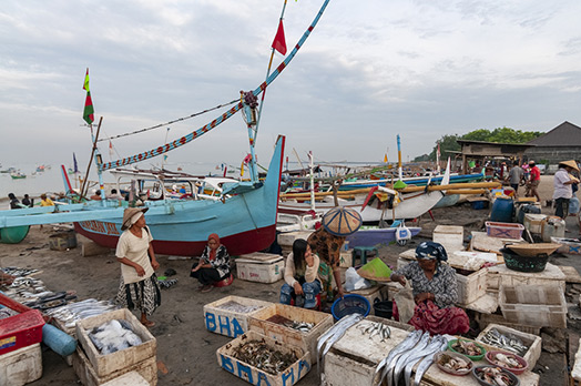 indonesian fish market