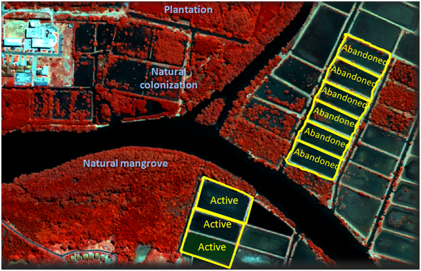 optical imagery