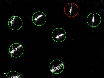 Illegal fishing detection radar view