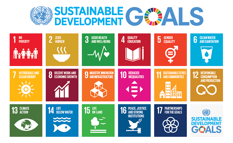 Sustainable development goals United Nations