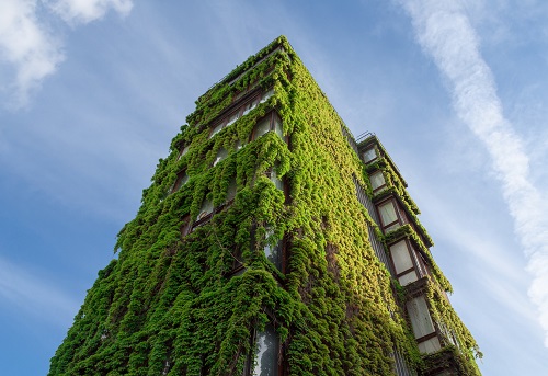 urban expansion & biodiversity