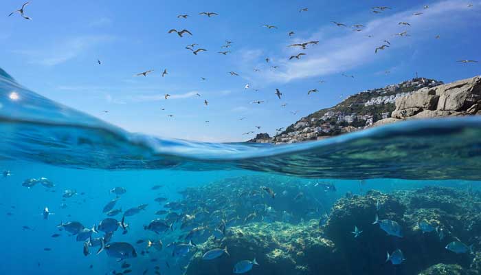 oceanography
