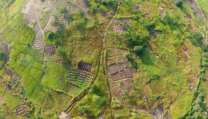 smart agriculture