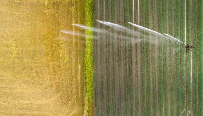 intensive farming