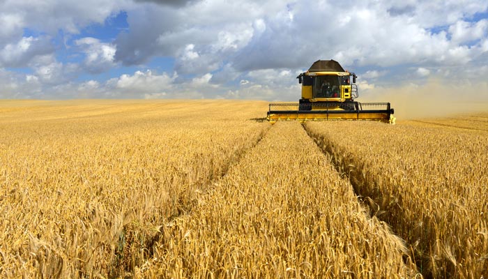 crop harvesting