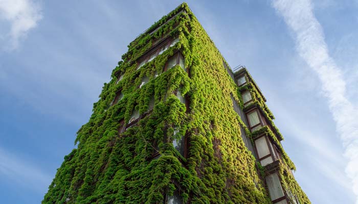 urbanization