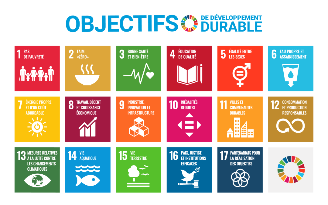 5ième anniversaire des engagements de l’ONU pour l’environnement