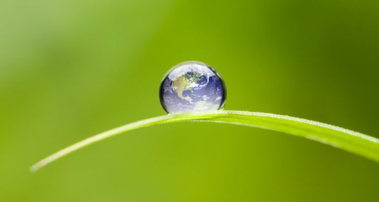 European Commission Renews its Trust in CLS to Lead a Component of the Copernicus Global Land Service Until 2027