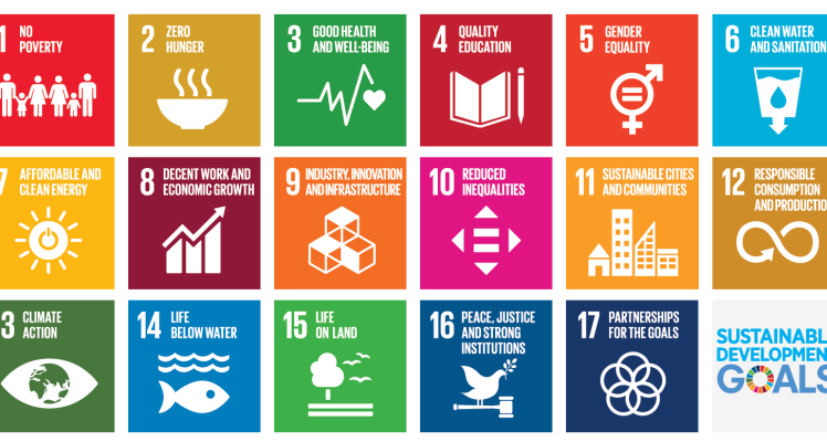 5th anniversary of the UN global commitments for environment