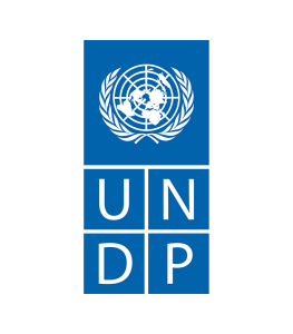 UNDP logo