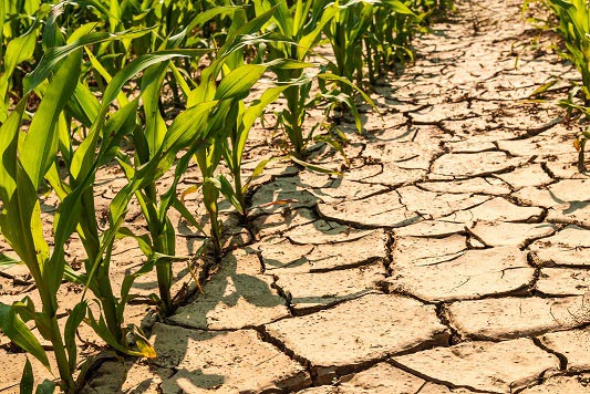 Water scarcity