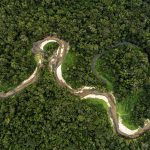 Amazone fleuve|Jeremy Guilhen