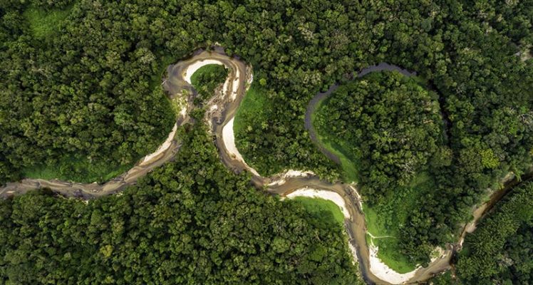 Unlocking Amazon’s Secrets: CLS at the Forefront of Discovery