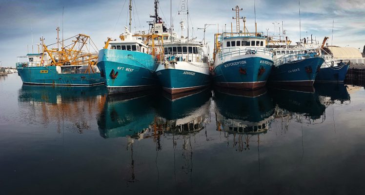 Sustainable Marine Resources: The Future is Being Decided Today