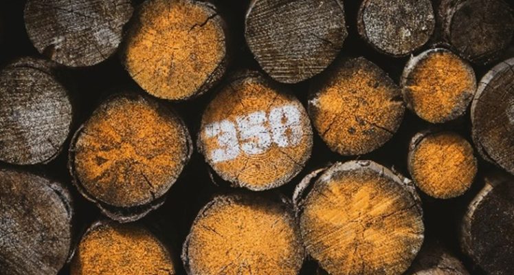 Gestion des forêts et des ilots bioclimatiques : les atouts du spatial