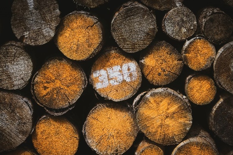 Gestion des forêts et des ilots bioclimatiques : les atouts du spatial