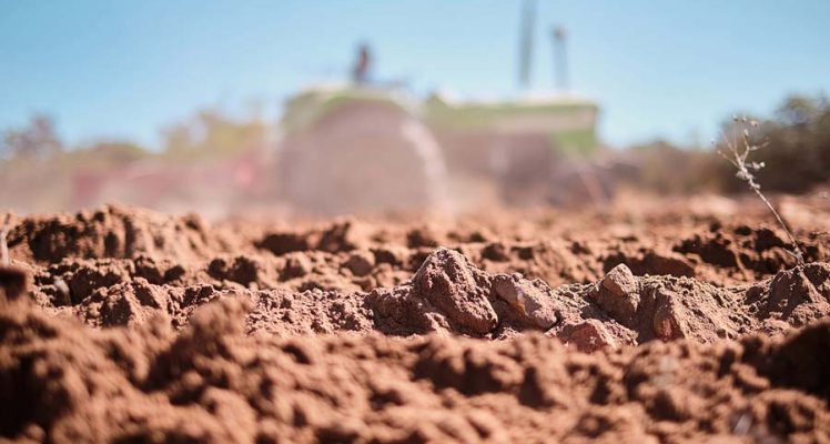 Transforming South African Agriculture: The Power of Space Technology