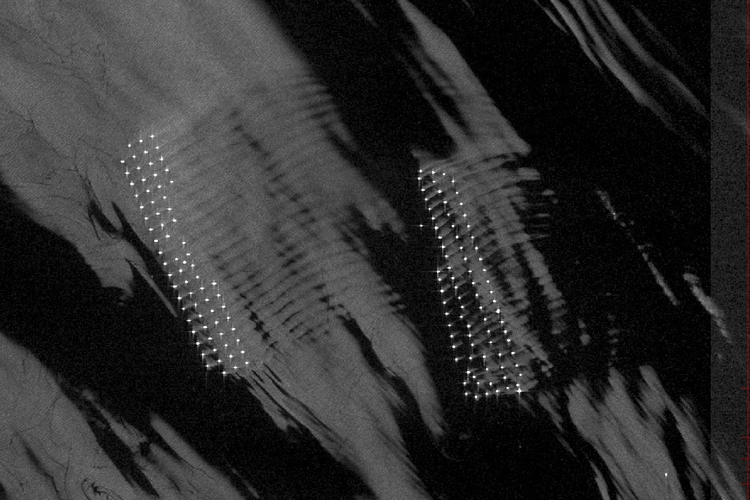 Wake effect in an offshore wind farm seen from space Sentinel-1