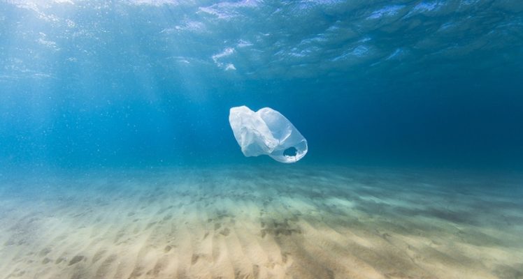 World Environment Day 2018 : CLS support the association Expédition 7e Continent