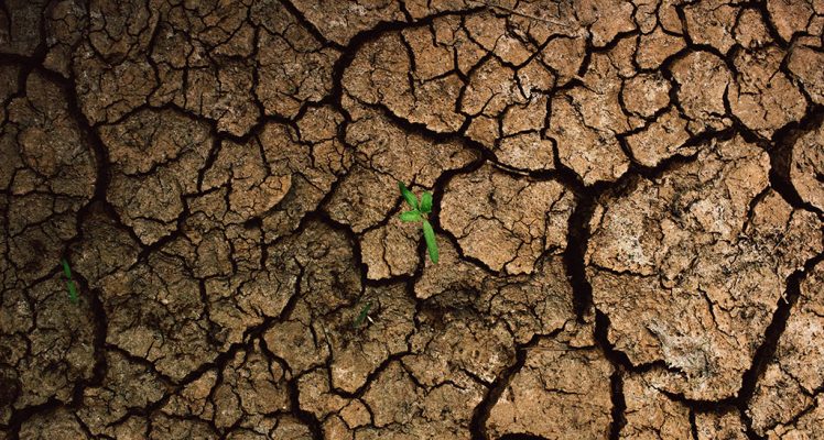 Journée mondiale de l’eau : la solution viendra du ciel