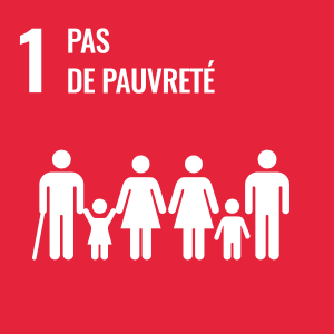 SDG number 1