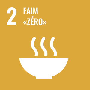 SDG number 2