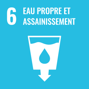 SDG number 6