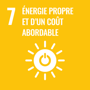 SDG number 7