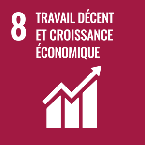 SDG number 8