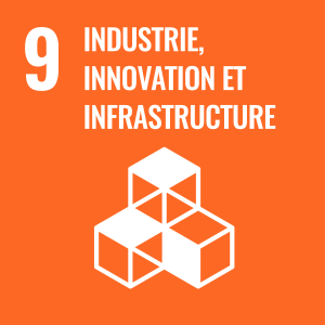 SDG number 9