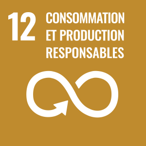SDG number 12