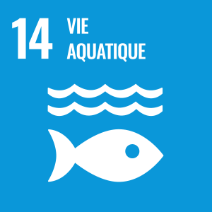 SDG number 14