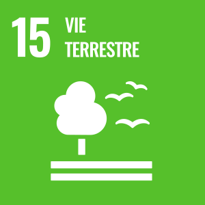 SDG number 15