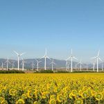 wind farm