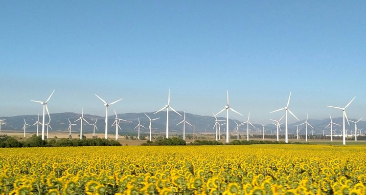 CLS fait l’acquisition de la société Meteodyn et se positionne comme un partenaire clé de la transition écologique du secteur de l’énergie