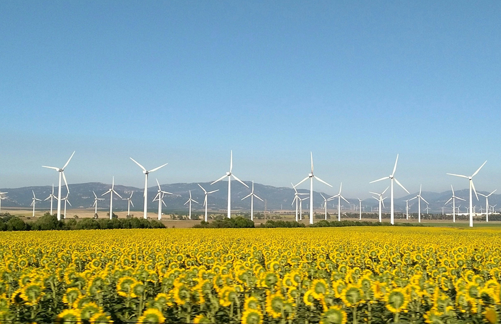 wind farm