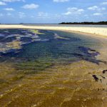 maritime pollution