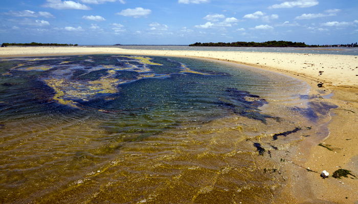 Preserving our planet: Sri Lanka’s MEPA turns to CLS to deploy national satellite-based oil spill detection service