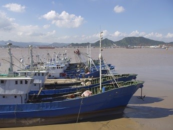 CLS, des satellites pour une gestion responsable de la pêche au Surinam