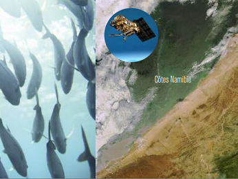 Collaboration entre la Namibie et CLS pour une meilleure gestion de ses ressources marines