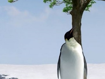 CLS MAG spécial « climat »