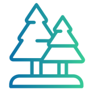 forest icon